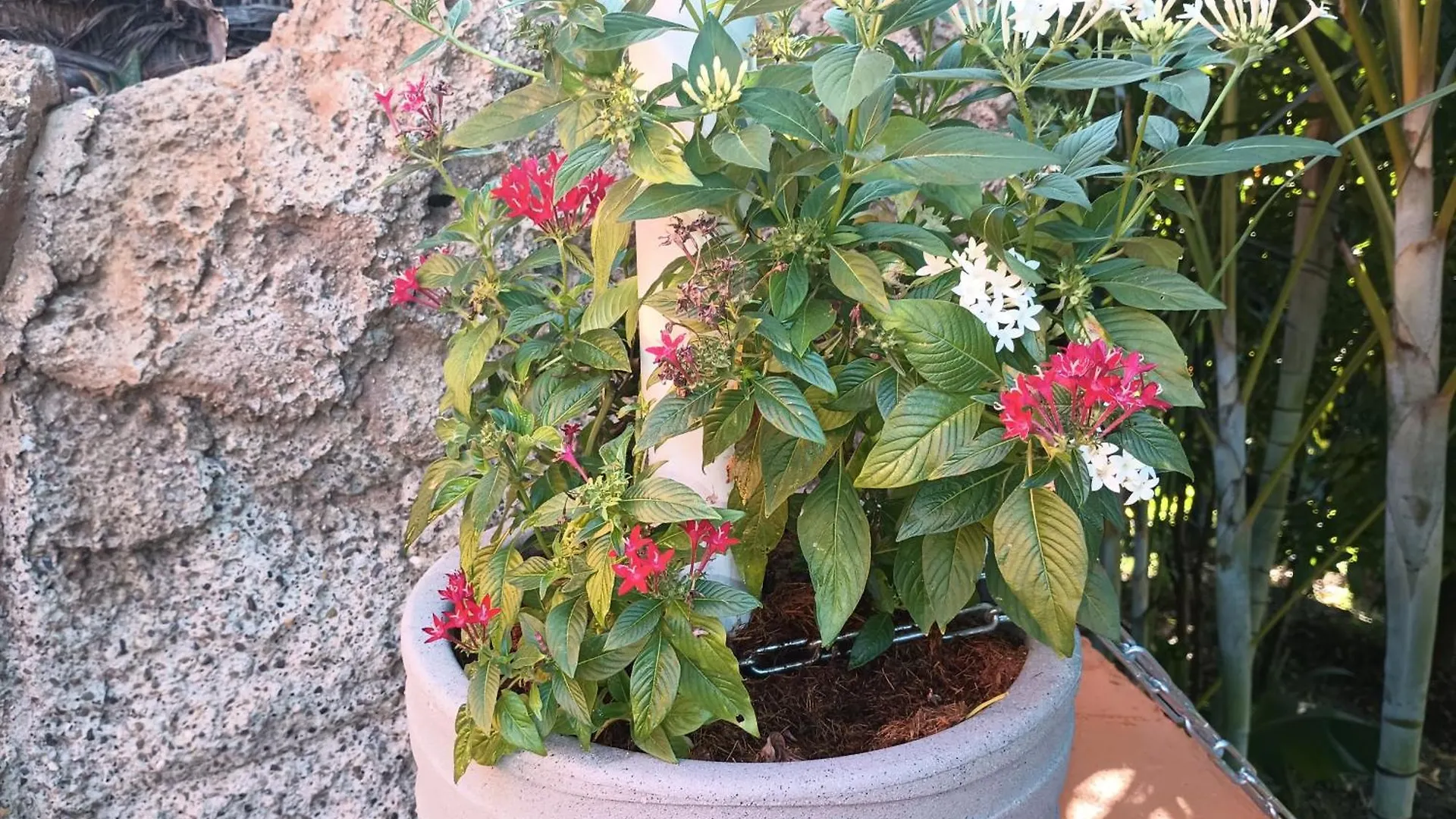 Rancho Papa Cole Villa Inoa